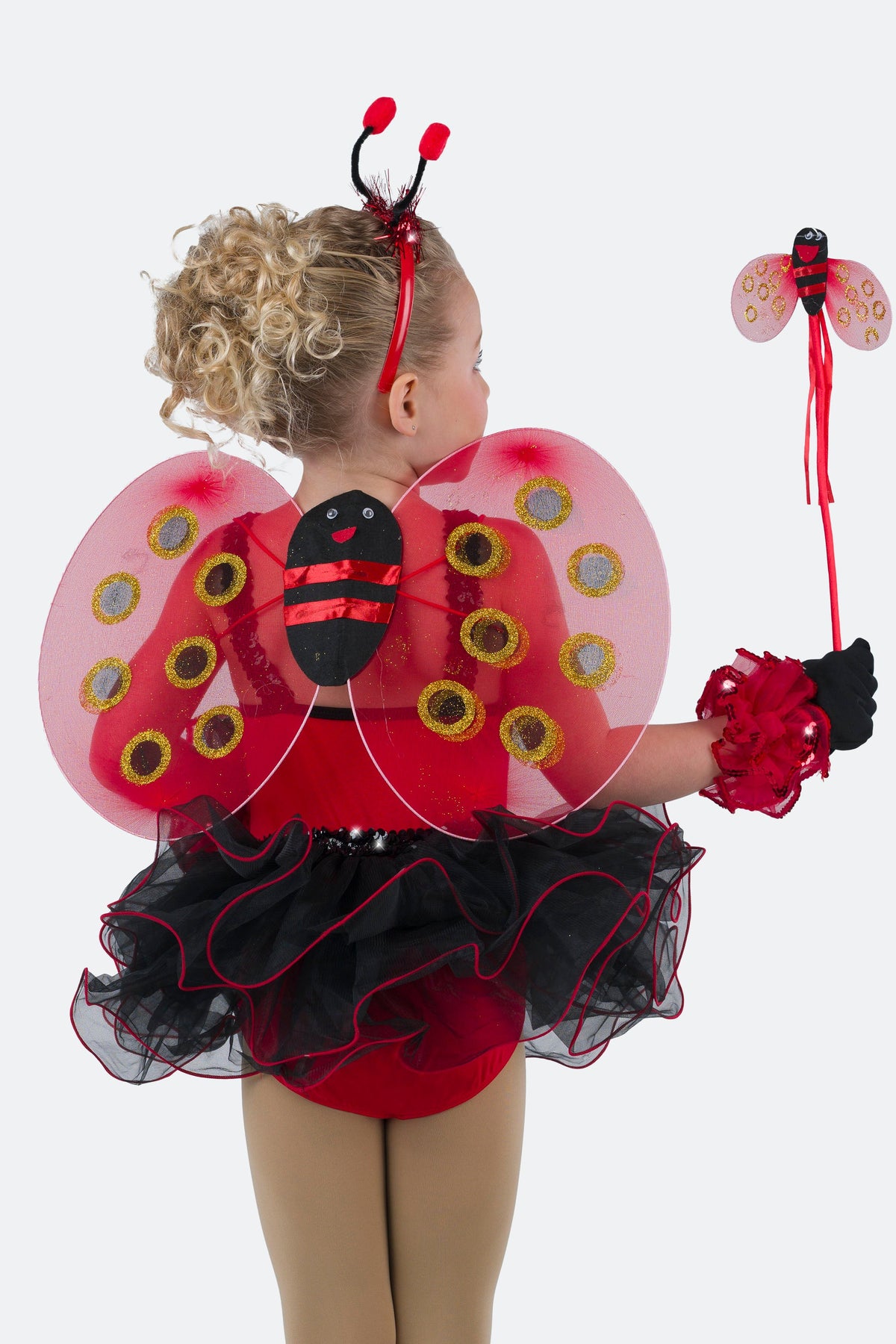 L2209A - LADY BUG WING SET