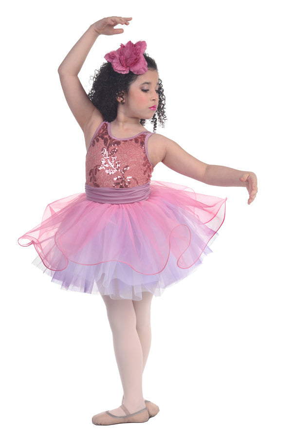 L2605 - Aurora
