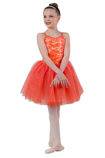 L3034 - Orange Colored Sky