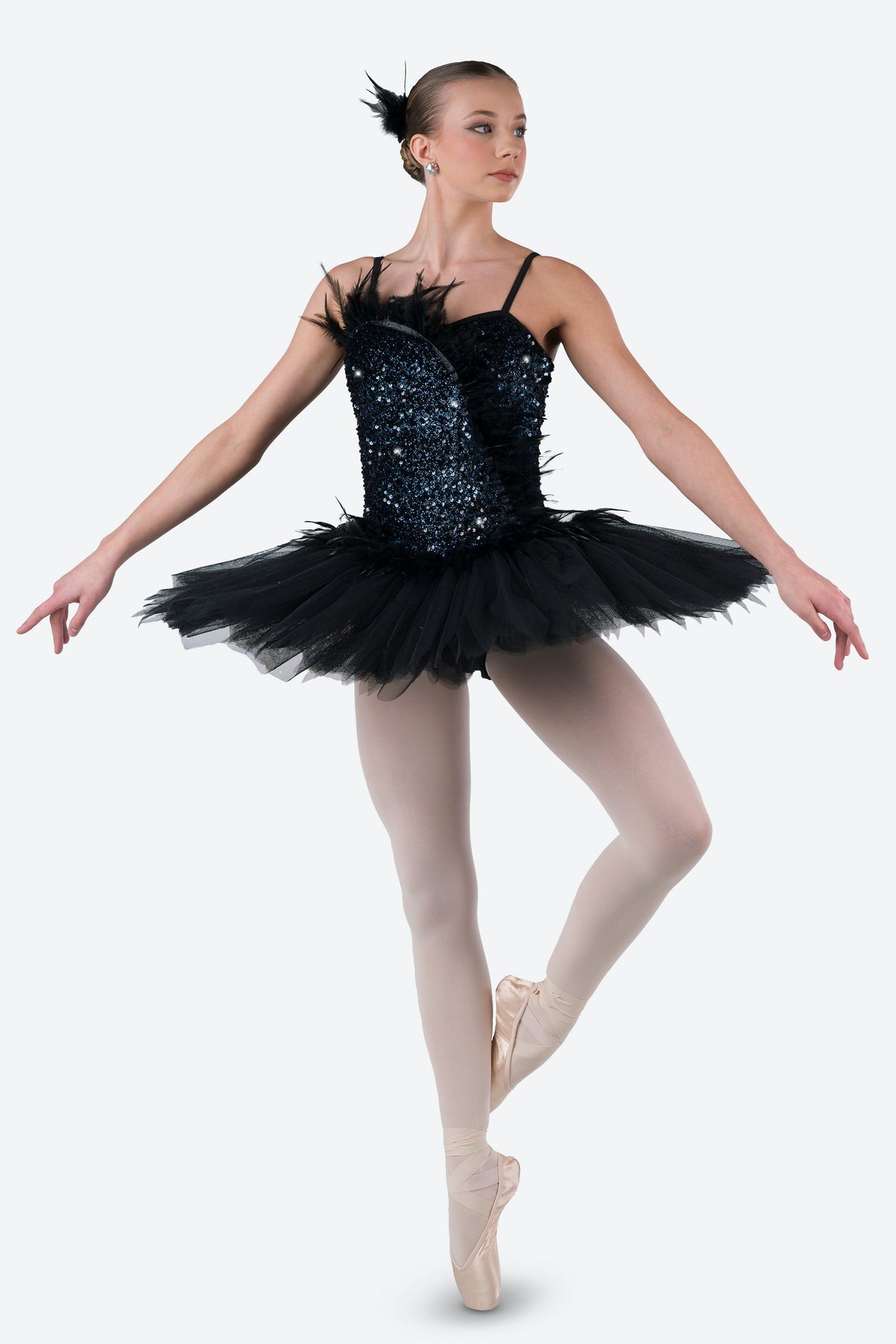 L3358 - SWAN LAKE